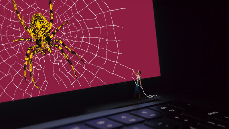laptop with spider illustration