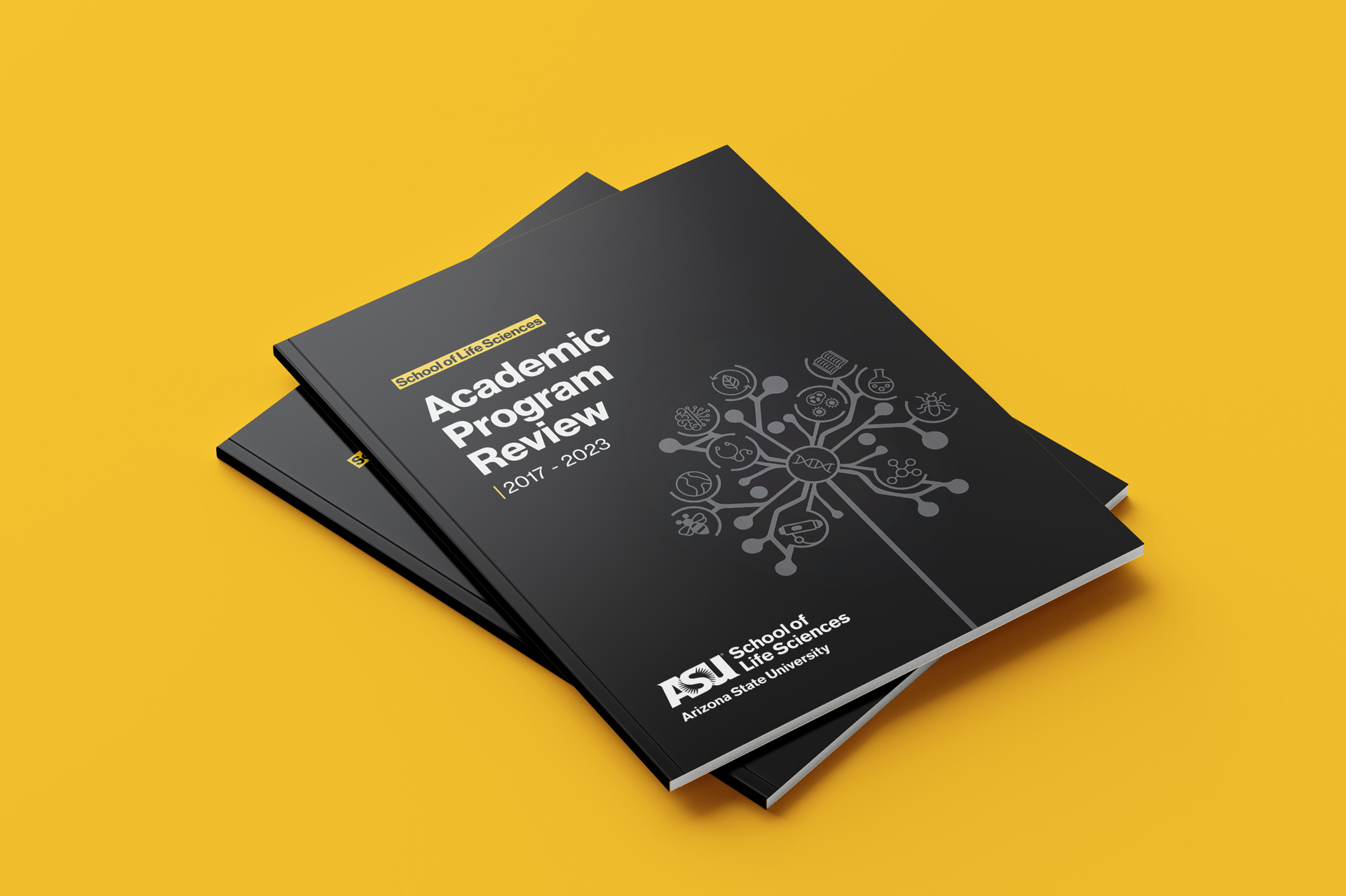 Black book cover for the APR report