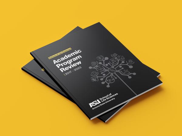 Black book cover for the APR report